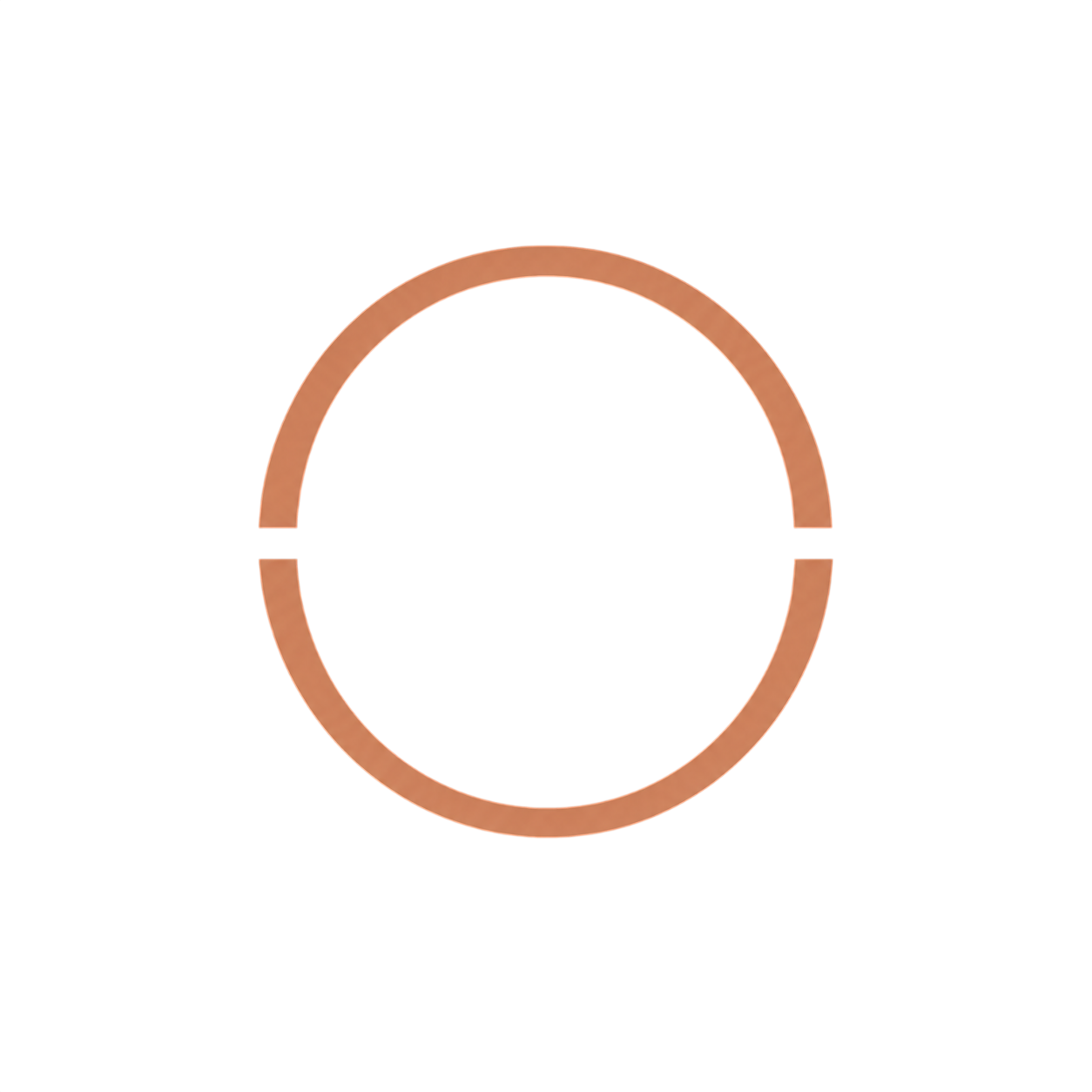 Briochi